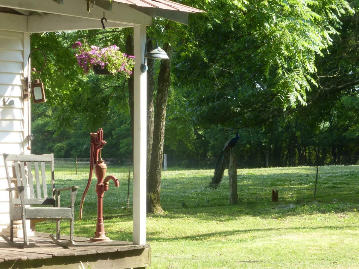 Mulberry Lavender Farm And B&B Extérieur photo