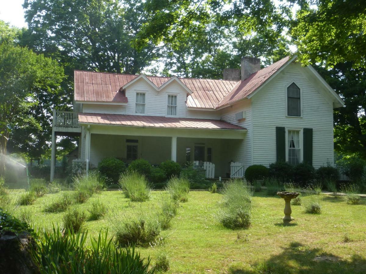 Mulberry Lavender Farm And B&B Extérieur photo